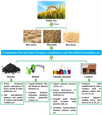 Sustainable application of rice-waste for fuels and valuable chemicals-a mini review